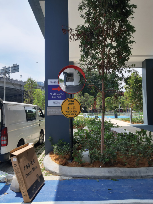 Convex Mirror with Sign